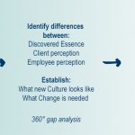 company-culture-diagram