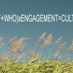 flowering sugar cane