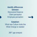 company-culture-diagram